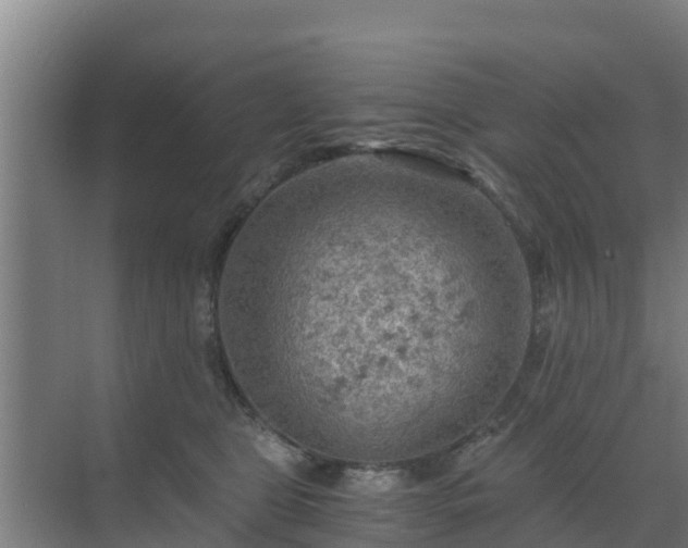 X0000069810469200605261753