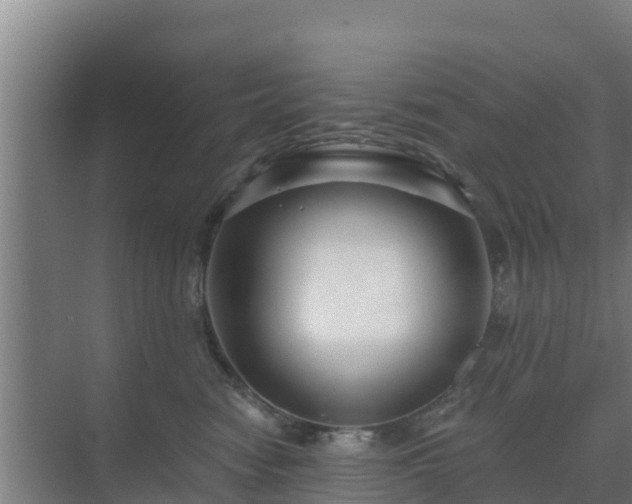 X0000069810474200605261753