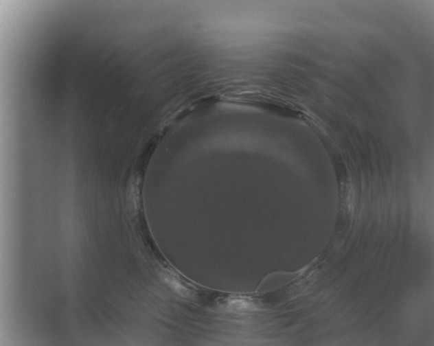 X0000069810475200605261753