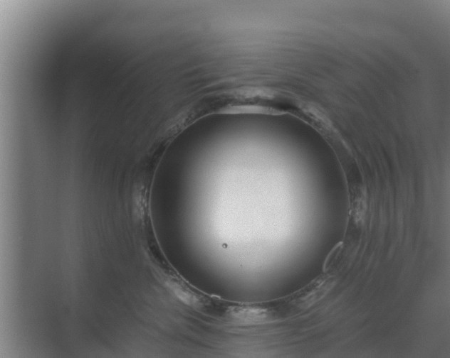 X0000069810476200605261753