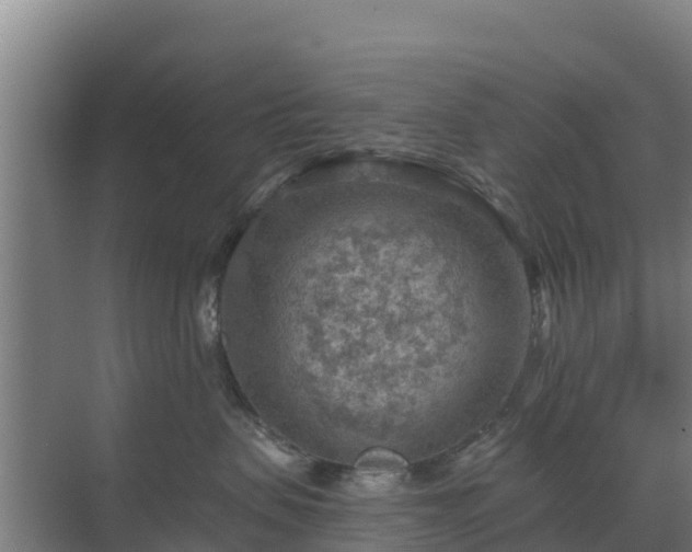 X0000069810479200605261753