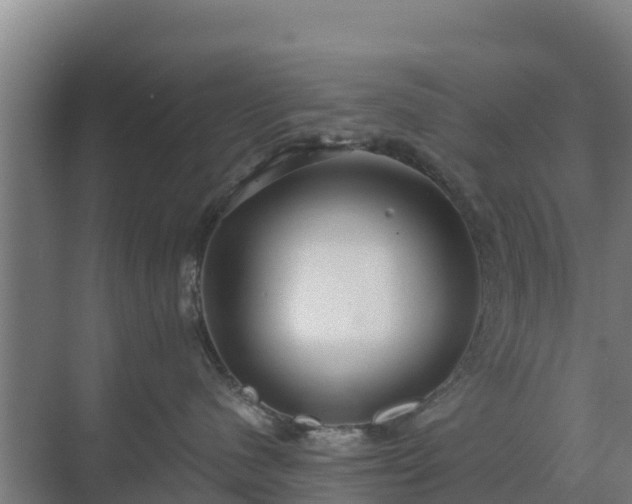 X0000069810480200605261753