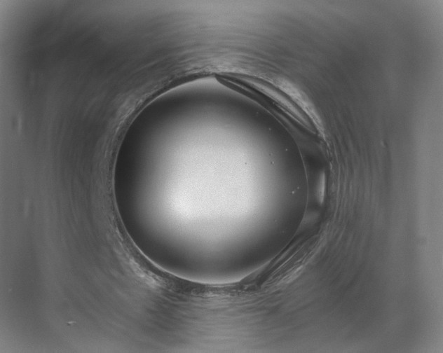 X0000069810481200605261752