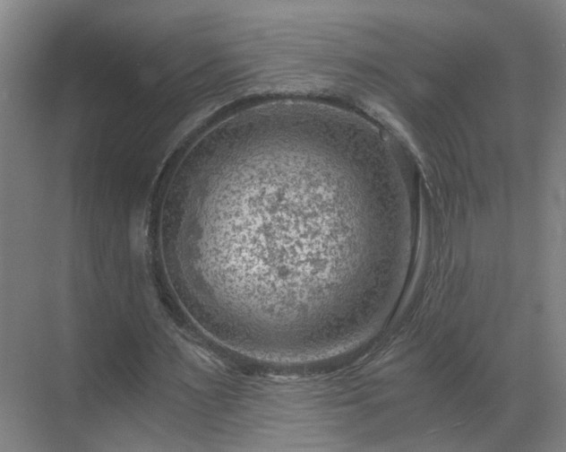 X0000069810483200605261752