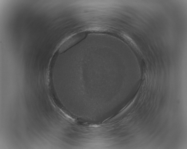 X0000069810484200605261752