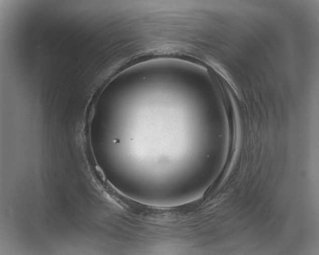 X0000069810485200605261752