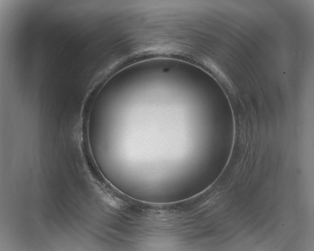 X0000069810486200605261752