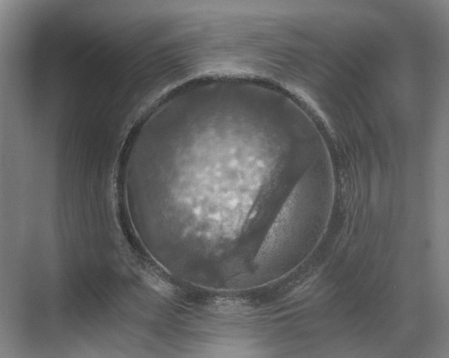 X0000069810487200605261752