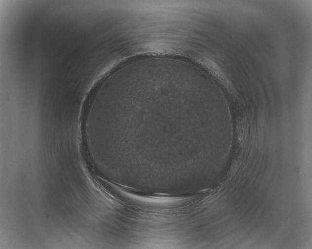 X0000069810488200605261752