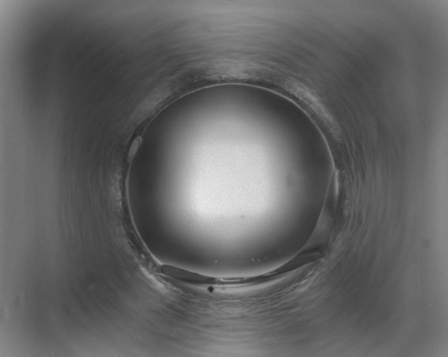 X0000069810489200605261752