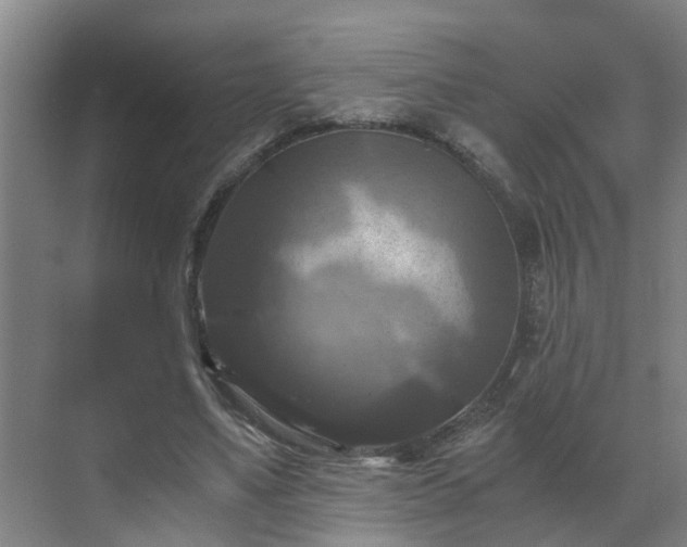 X0000069810491200605261752