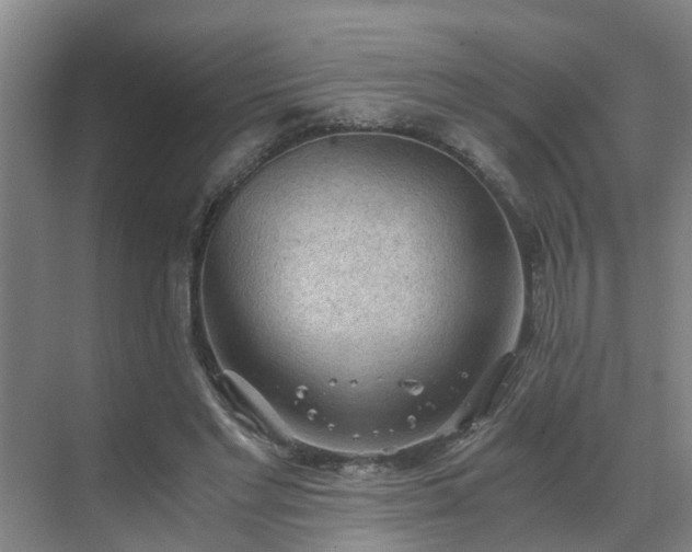 X0000069810493200605261752