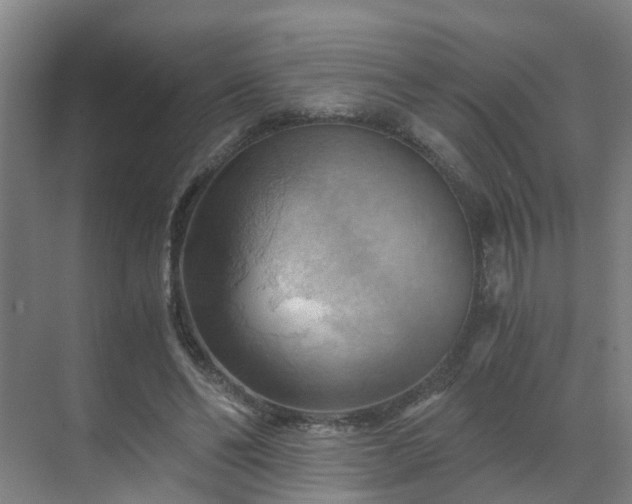 X0000069810494200605261752