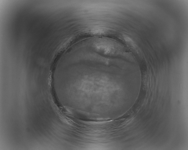 X0000069810495200605261752