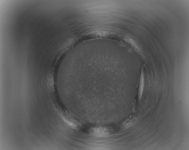 X0000069810500200605261752