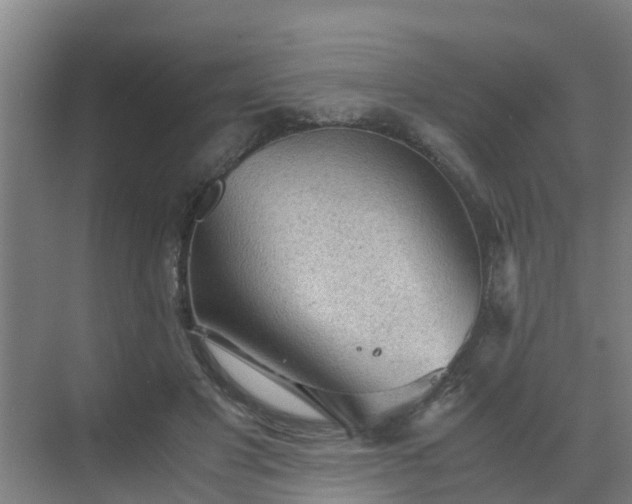 X0000069810501200605261752