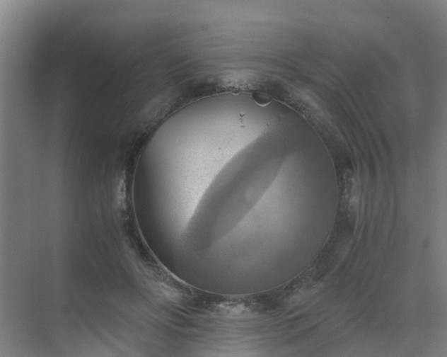 X0000069810502200605261752