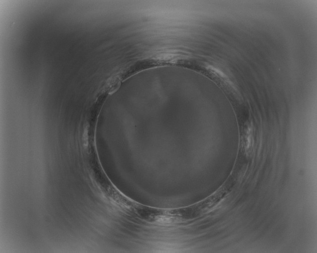 X0000069810504200605261752