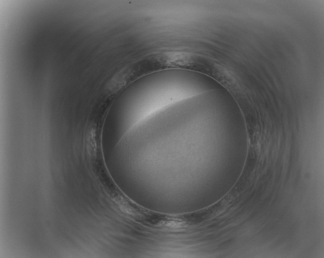 X0000069810506200605261752