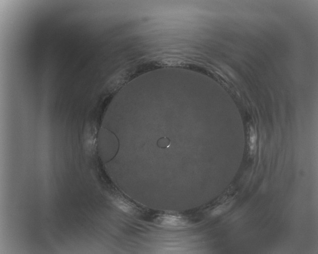 X0000069810507200605261752