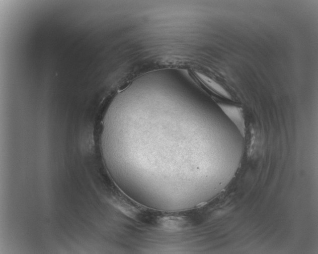 X0000069810508200605261752