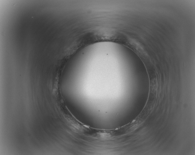 X0000069810509200605261752