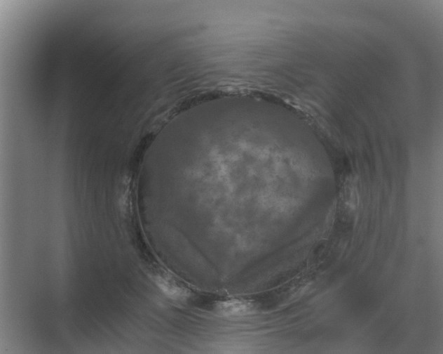 X0000069810511200605261752