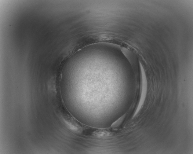 X0000069810512200605261752