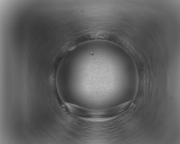 X0000069810513200605261752