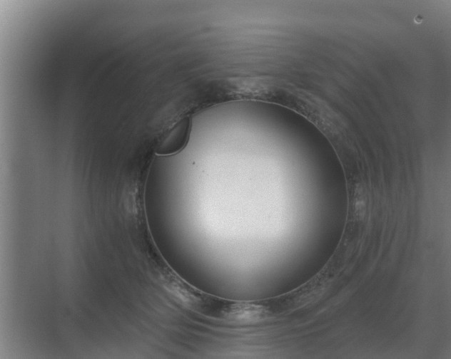 X0000069810514200605261752