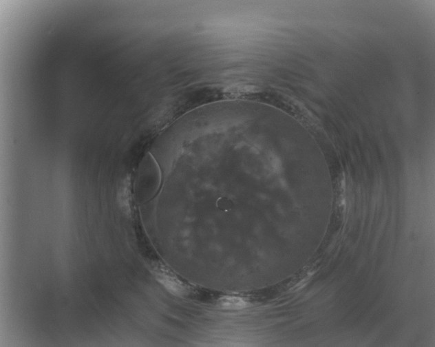 X0000069810519200605261752