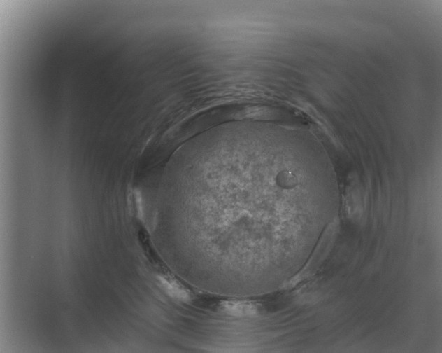 X0000069810520200605261752