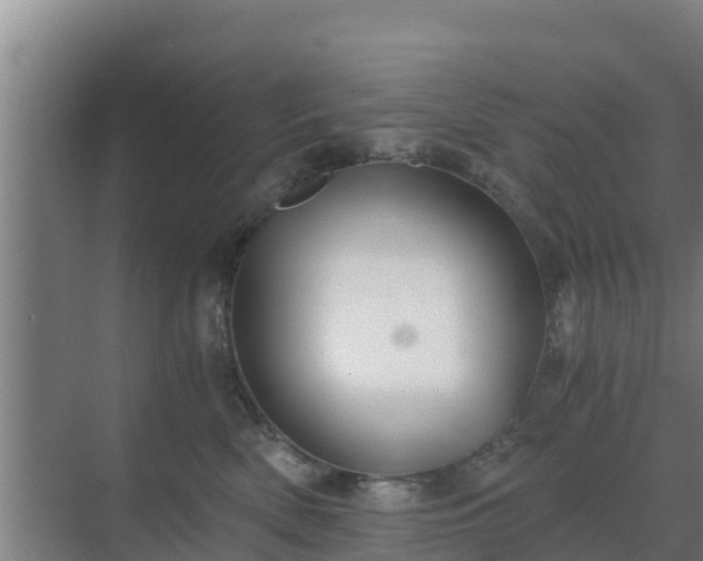 X0000069810522200605261752