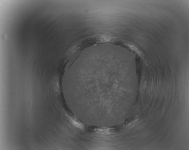 X0000069810524200605261752