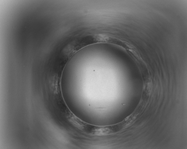 X0000069810525200605261752