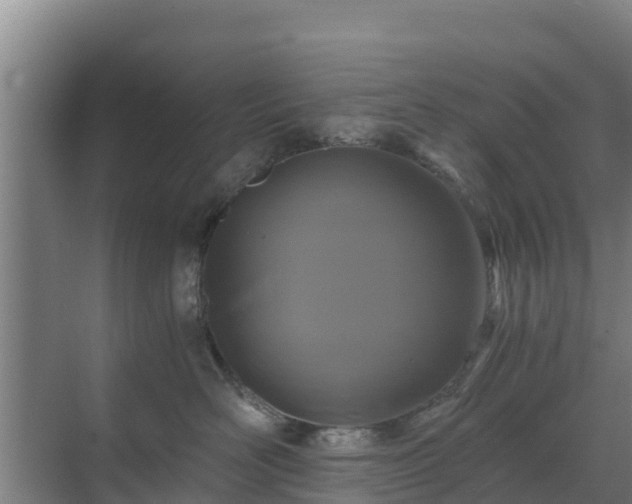 X0000069810526200605261752