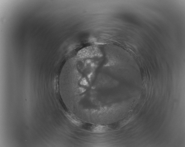 X0000069810527200605261752