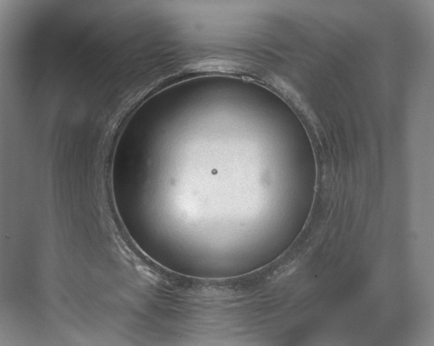 X0000069810529200605261751