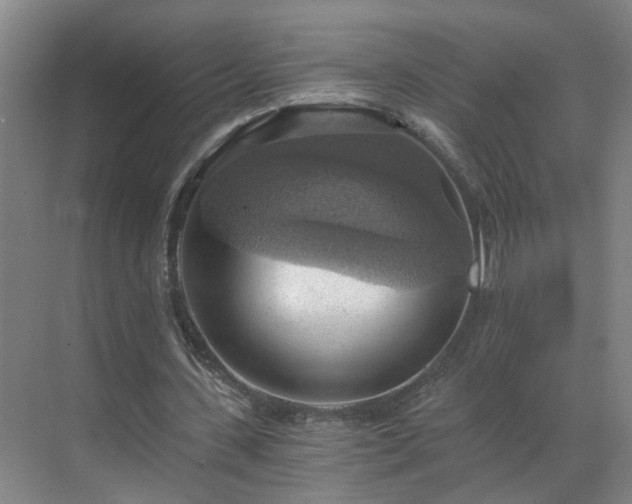 X0000069810531200605261751