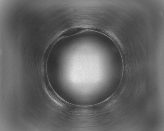 X0000069810533200605261751