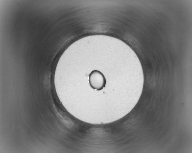 X0000069810534200605261751