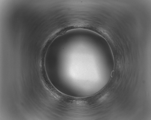 X0000069810539200605261751