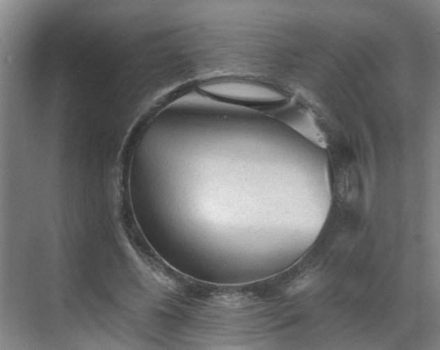 X0000069810540200605261751