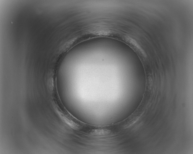 X0000069810541200605261751