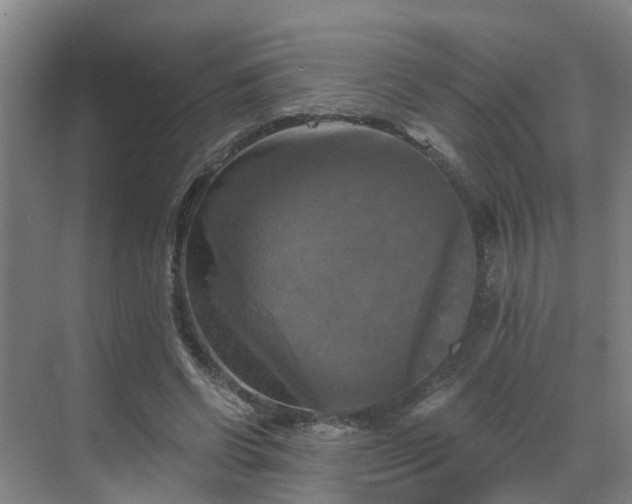 X0000069810542200605261751