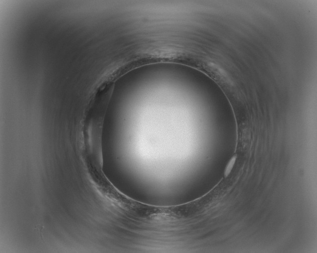 X0000069810544200605261751