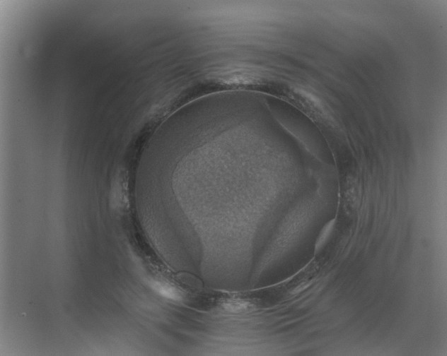 X0000069810547200605261751