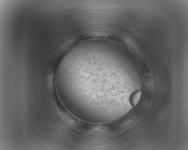 X0000069810550200605261751