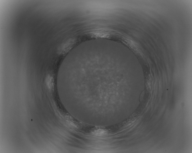 X0000069810551200605261751