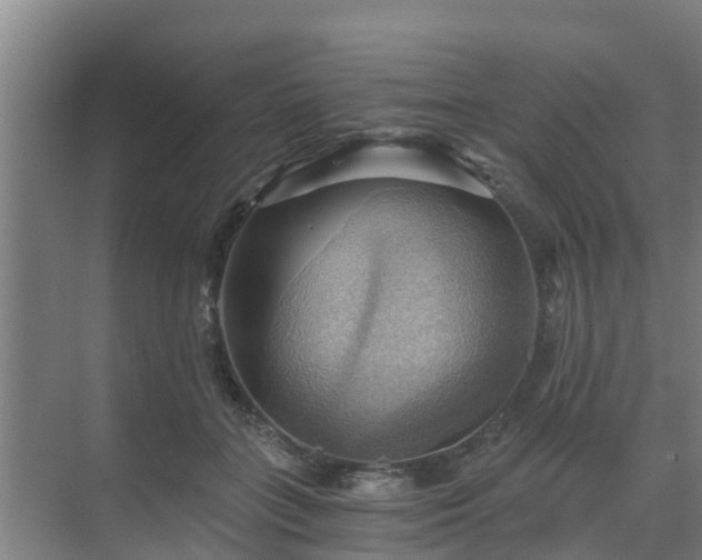 X0000069810555200605261751